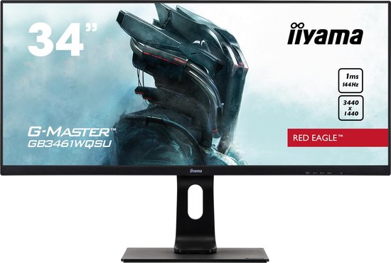 Ultrawide iiyama monitor